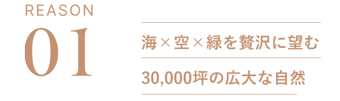 REASON01：海✕空✕緑を贅沢に望む8,000坪の広大な自然